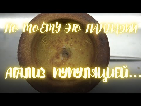 Видео: По моему это Палладий! Анализ Купеляцией!
