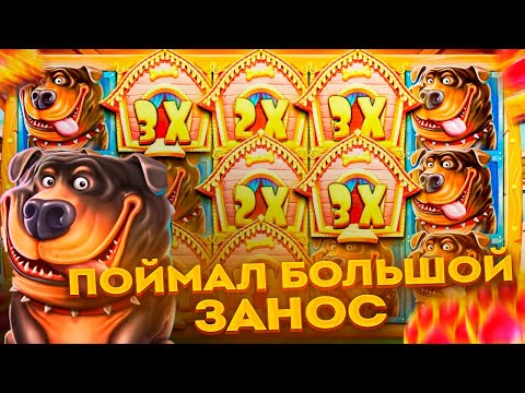 Видео: 💰МОЙ САМЫЙ БОЛЬШОЙ ЗАНОС В THE DOG HOUSE!