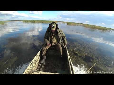 Видео: Чудеса инженерии. Лодка болотоход. Новинка 2019