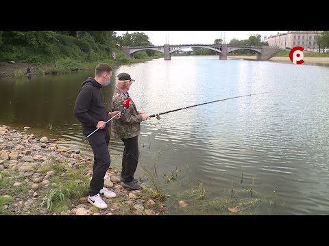 Видео: Что вижу, то пою. Выпуск №92