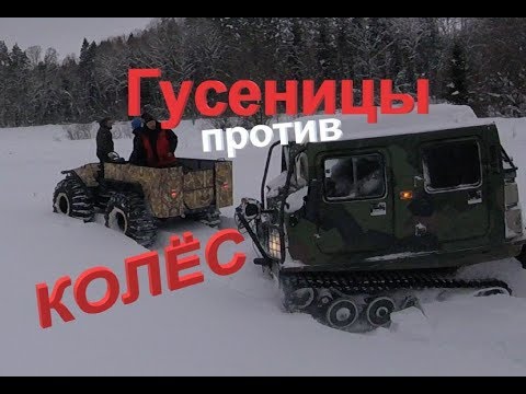 Видео: Гусеницы против Колёс!!  Лось BV-206  и БТХ-2 в глубоком снегу!!