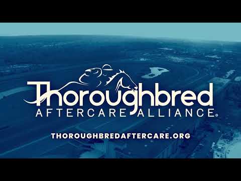 Видео: Повтор шоу в Gulfstream Park | 14 ноября 2025 г.