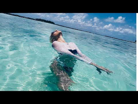 Видео: Bandos Maldives 5* Впечатление спустя время и в сравнение с другими отелями