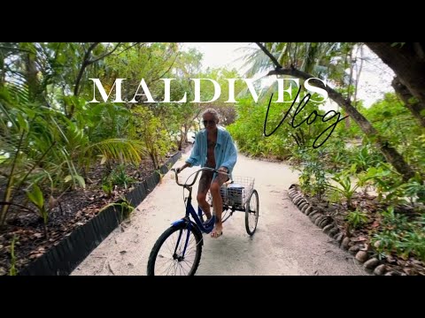 Видео: Воровство на Мальдивах🤯Свадьба Ч1 Medhuhufushi Island Resort👰🏼How design a wedding Part1