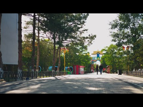 Видео: Элиста предпраздничная