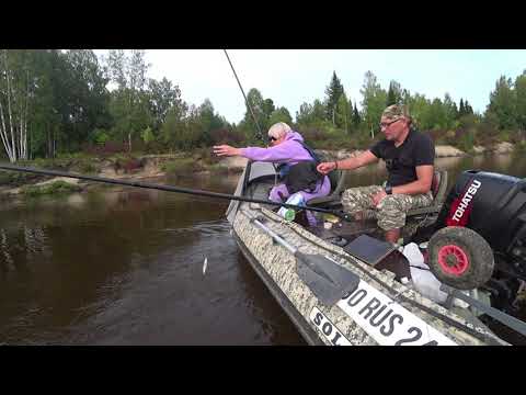 Видео: Рыбалка на ельца ,крупная сорога, язь река КЕМЧУГ