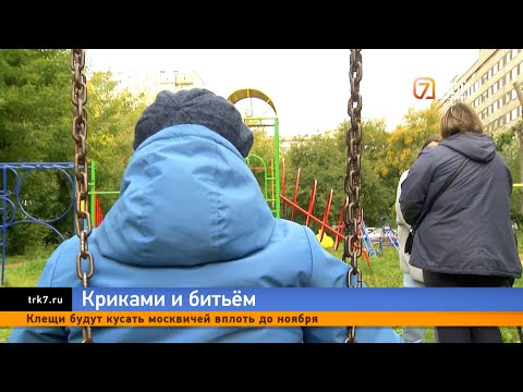 Видео: «Я тебе все зубы выбью»: издевательства над красноярскими детьми с особенностями попали на диктофон