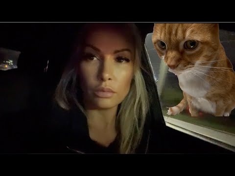 Видео: Полночь в ветеринарке.