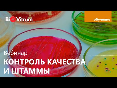 Видео: Контроль качества сред. Штаммы