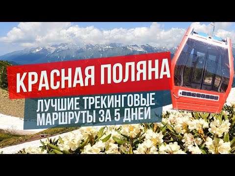 Видео: Красная Поляна Сочи: лучшие трекинговые маршруты за 5 дней