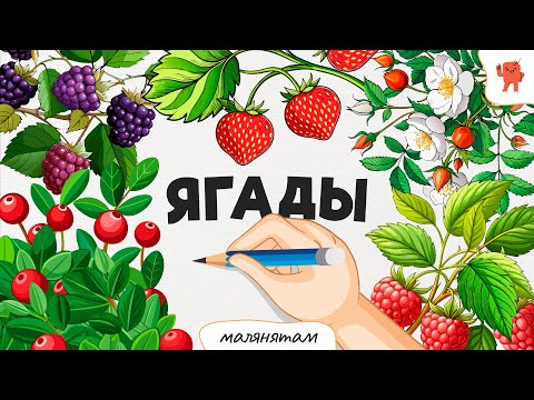 Видео: ЯГАДЫ | Бэйбус_малянятам