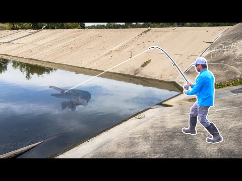 Видео: ОГРОМНЫЕ рыбы заперты в этой БЕТОННОЙ ЯМЕ!!! (САМАЯ БОЛЬШАЯ за 5 ЛЕТ!)