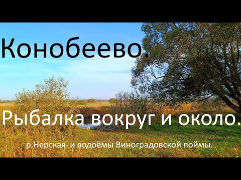 Видео: Конобеево. Рыбалка вокруг и около. Река Нерская и водоёмы Виноградовской поймы.