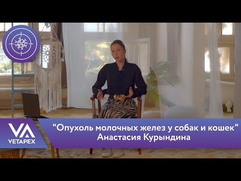 Видео: Кафедра Онкологии - "Опухоль молочных желез у собак и кошек"