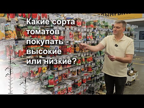 Видео: Высокие и низкие томаты - какие семена купить?