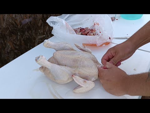 Видео: Забой бройлера от А до Я.  Мой опыт.