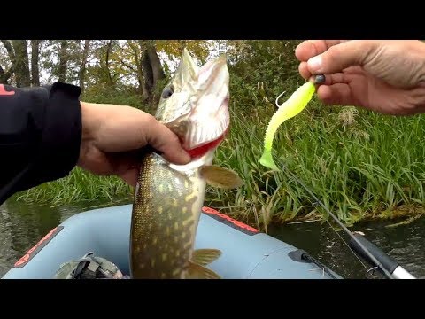 Видео: Пришло время Крупного силикона. Жор щуки в Октябре