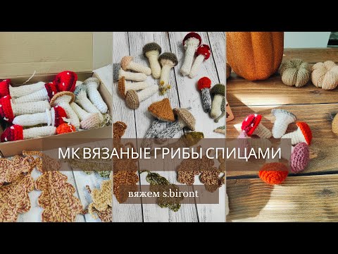 Видео: МК Вязаные грибы спицами #knitting#вязание #вязаниеспицами #амигуруми#вязаныеигрушки#игрушкиспицами