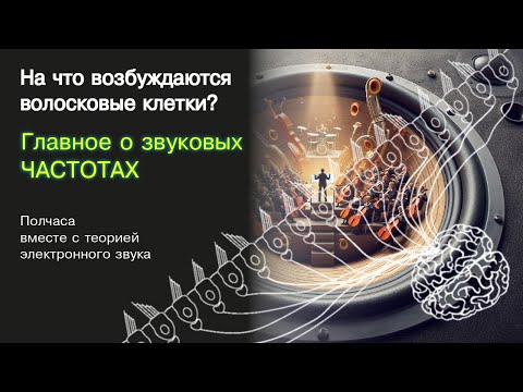 Видео: Звуковые частоты: бескомпромиссное понимание