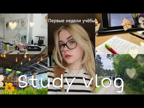 Видео: STUDY VLOG - первые недели учёбы