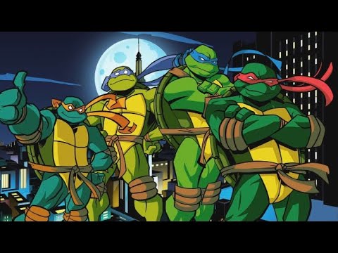 Видео: Обзор полной коллекции карточек черепашки ниндзя боевая четверка „путь ниндзя“