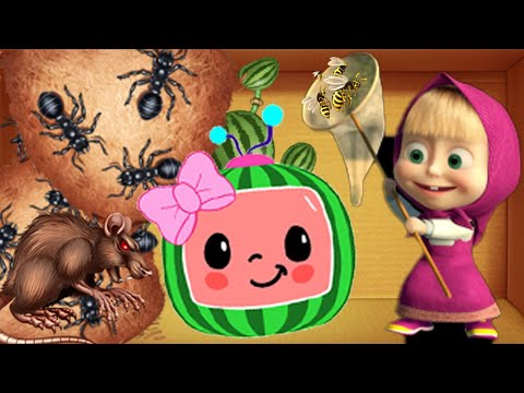 Видео: ANTHILL против THE BUDDY | ПНИ ДРУГА!