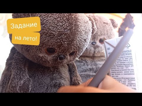 Видео: Басики делают задание от учителя на лето!Басики ЧИЛЛЯТ!/Басик тв