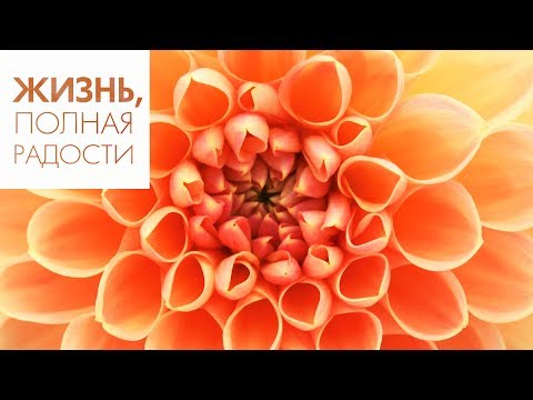 Видео: Джойс Майер: Удивляйтесь жизни