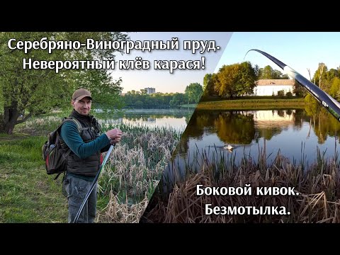 Видео: 13 мая 2023. Серебряно-Виноградный пруд. Невероятный клёв карася! Боковой кивок.