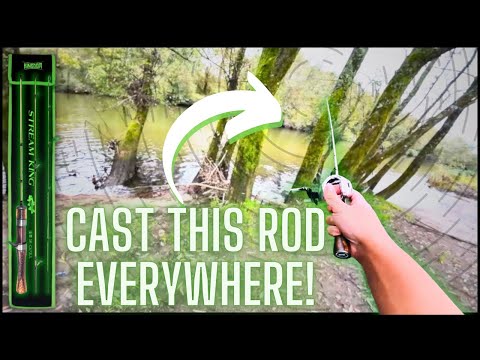 Видео: Kingdom Stream King, это действительно так? 35 долларов BFS Rod