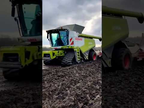 Видео: Claas lexion з плугом 🤔🌾😂