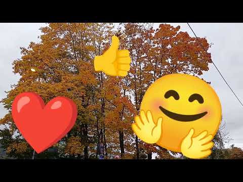 Видео: ОСЕННИЙ 🍂 ОКТЯБРЬ ☔️ И ВАС БЕРУ С СОБОЙ 🙂