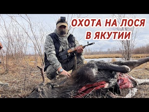 Видео: ОХОТА НА ЛОСЯ В ЯКУТИИ | РЫБАЛКА | 2024