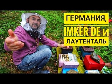 Видео: Германия: Imker DE и облетник #Лаутенталь