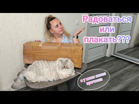 Видео: ПОСЫЛКА ШЛА 18 ДНЕЙ😱Как перенесли такую долгую доставку алоказии? Больше не отправляю растения!