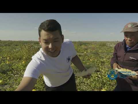 Видео: “Зейнетке шықсам да жұмыс істеймін" / ЖҰМЫСЫМ - ОСЫНДАЙ! / 07.10.2025