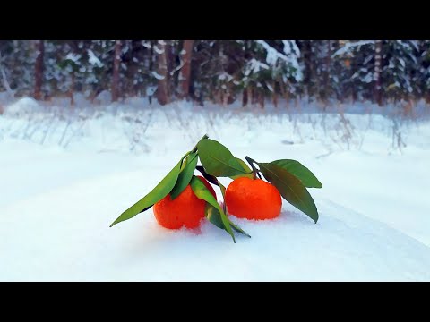 Видео: Телевизор - Мандариновый снег \ Mandarinen Snow