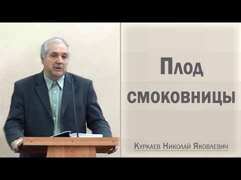 Видео: Плод смоковницы / Куркаев Николай Яковлевич