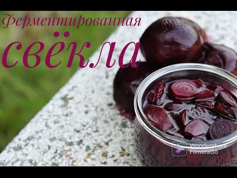 Видео: Квашеная свекла за 4 дня. Отличная закуска.Полезная еда.