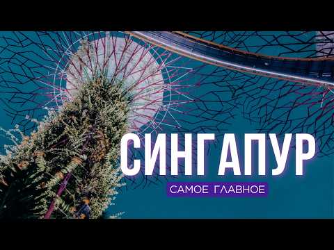 Видео: СИНГАПУР: достопримечательности, жилье и еда