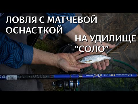 Видео: С БОЛОНСКИМ УДИЛИЩЕМ НА РЕКЕ. Дальний заброс приносит результат.
