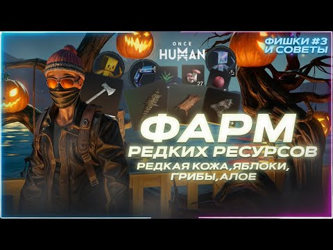 Видео: ФАРМ РЕДКОЙ КОЖИ,ЯБЛОК,ГРИБОВ,УГРЕЙ | ONCE HUMAN ЗИМНИЙ СЦЕНАРИЙ