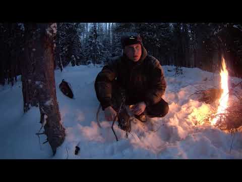 Видео: Рыбалка на жерлицы Даровской район Первые Бобровы