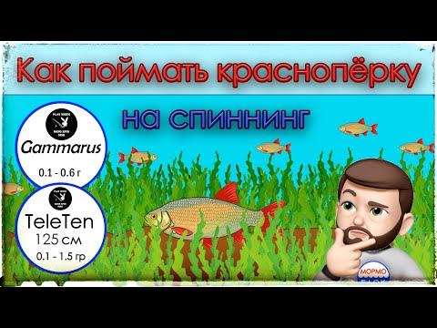 Видео: Как поймать краснопёрку на спиннинг. Мормышинг. Gammarus (0.1 - 0.6 г) / Tele Ten 125 ( 0.1 - 1.5 г)