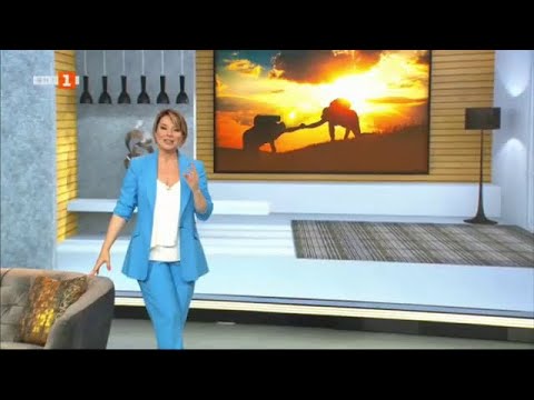 Видео: Защо японците толкова много обичат България, "Отблизо" - 26.06.2022 г. по БНТ