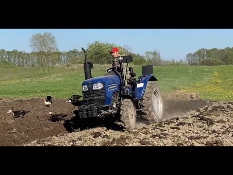 Видео: Дтз 5244 HPX! Приоруїм гній під картошку двухкорпусним плугом 2 по 25