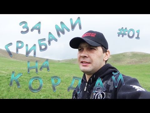 Видео: За грибами на Кордай