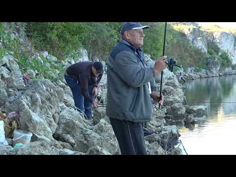 Видео: Отличная рыбалка. Отличный клёв. Alex Pro