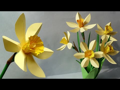 Видео: Как сделать нарцисс из обычной цветной бумаги.  DIY Paper Daffodil Flower