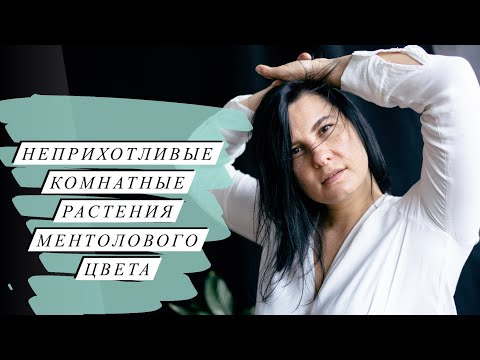 Видео: Неприхотливые комнатные растения ментолового цвета